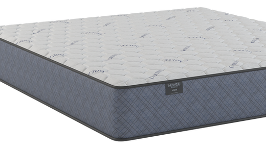Twin Size Mattress Mack I Firm